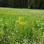 Waschbaer Country Apartament
