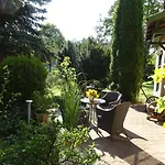 Waschbaer Country * Templin