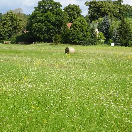 Waschbaer Country Templin