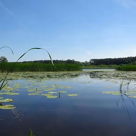 Apartmán Waschbaer Country