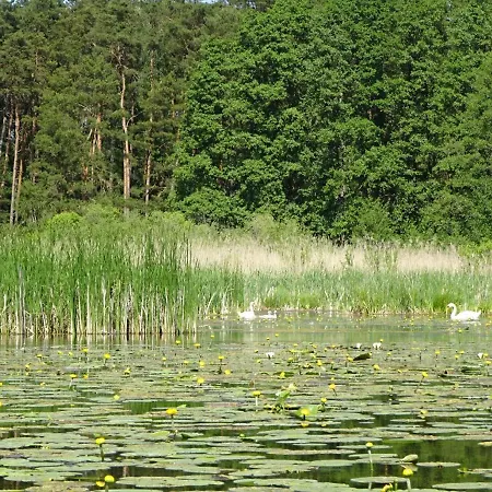 Waschbaer Country Apartmán *