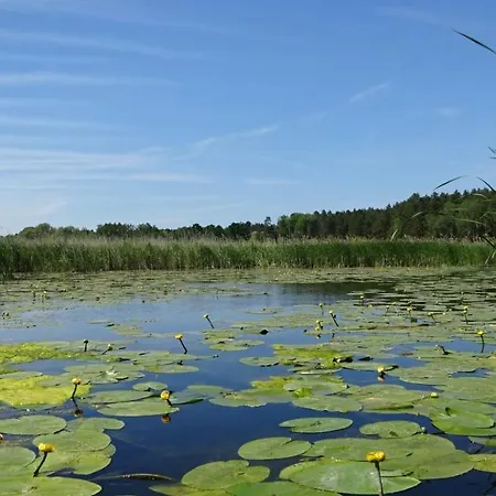 Apartmán Waschbaer Country