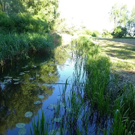 Waschbaer Country *