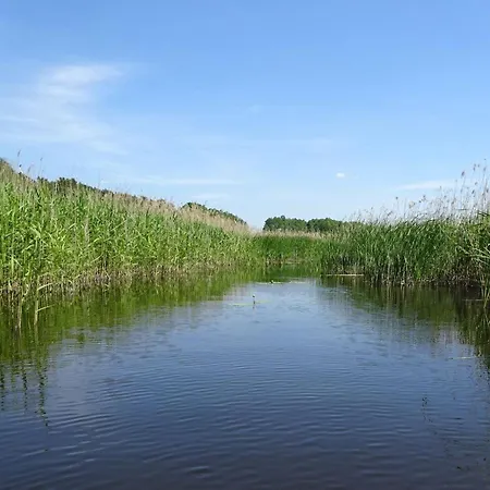 Waschbaer Country 公寓 *