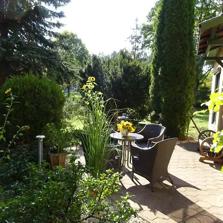 Waschbaer Country * Templin