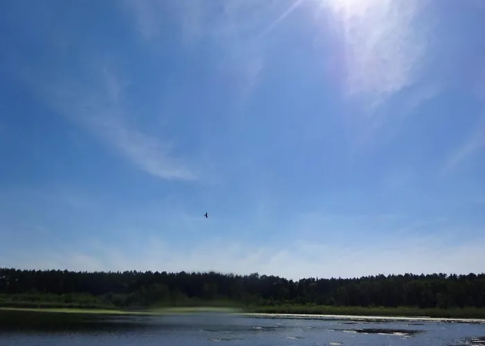 Apartment Waschbaer Country *