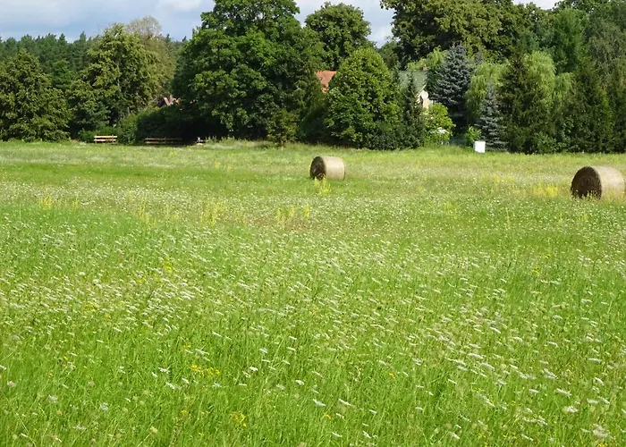 Waschbaer Country Templin