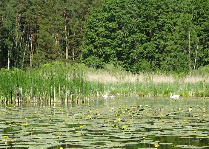 Waschbaer Country Apartamento *