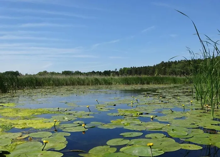 Apartamento Waschbaer Country
