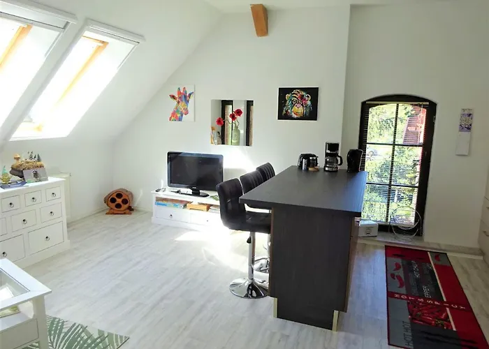 Waschbaer Country Templin