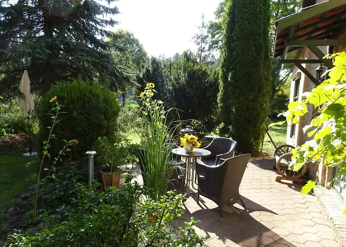 Waschbaer Country * Templin