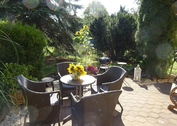 Waschbaer Country Templin