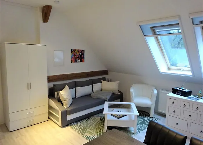 Waschbaer Country Templin