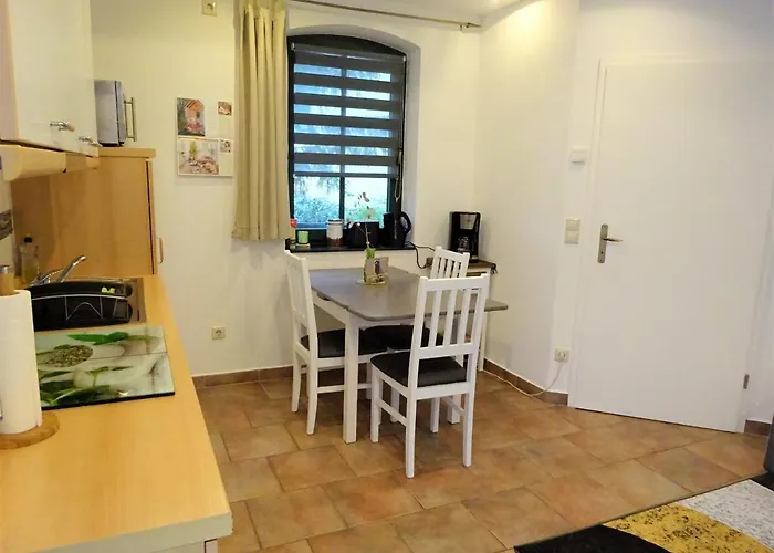 Waschbaer Country * Templin